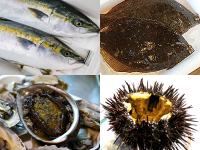 鮮魚部特殊鮮魚課